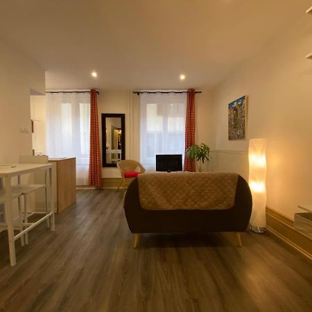 L'Ours De Colmar - Appartements En Centre Ville Экстерьер фото