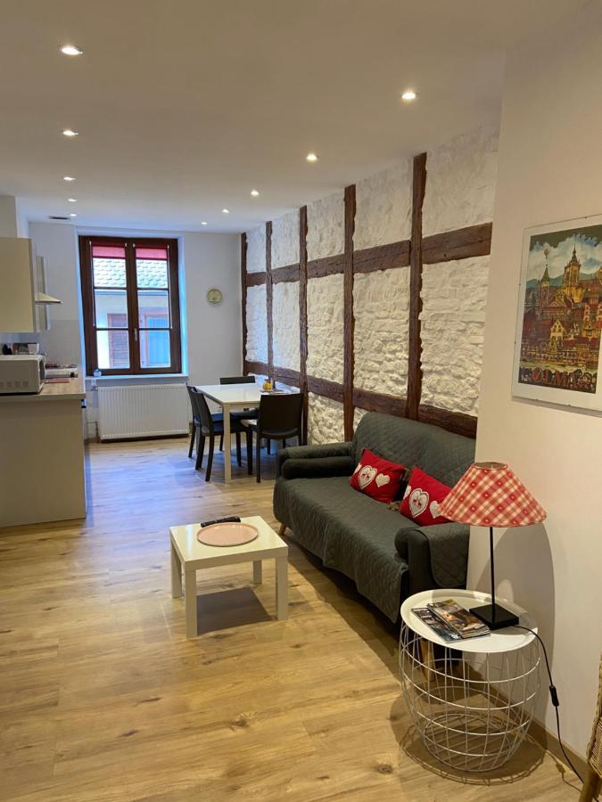 L'Ours De Colmar - Appartements En Centre Ville Экстерьер фото